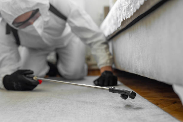 Professional Cockroach Control technician working in Farmingville, NY